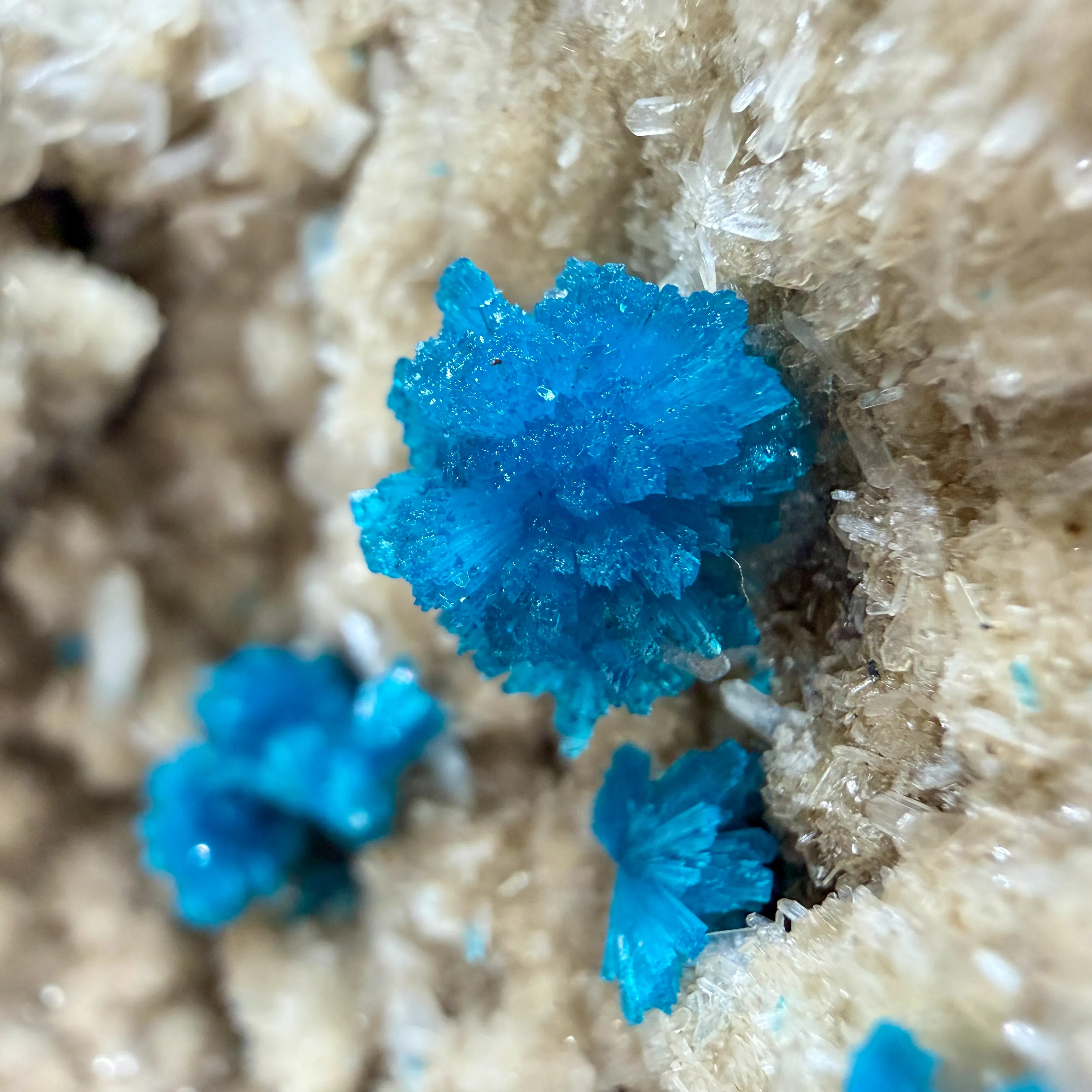 Cavansite from India, Maharashtra, Wagholi Quarries - image 6