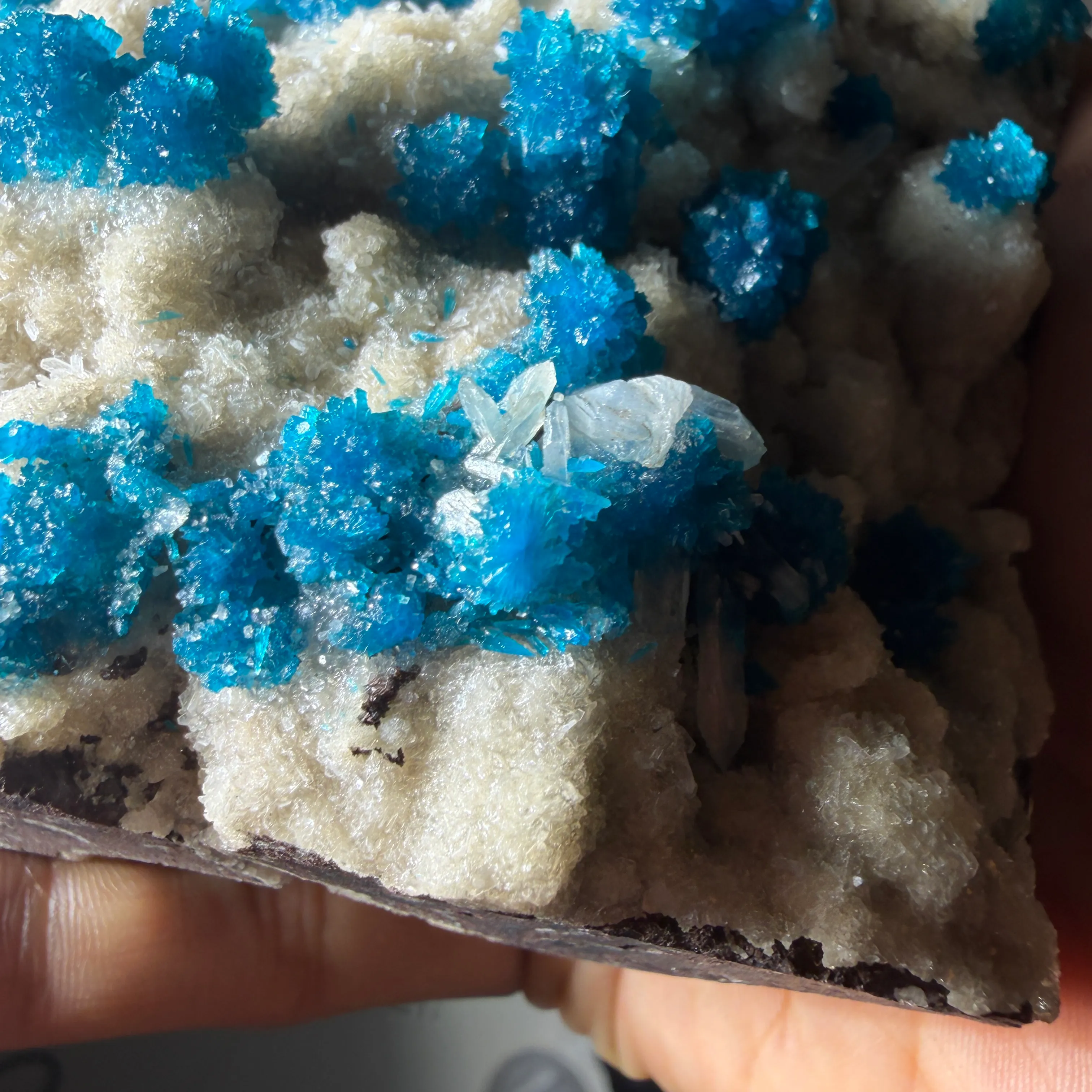 Cavansite from India, Maharashtra, Wagholi Quarries - image 8