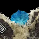 Cavansite (illustrated) - image 3