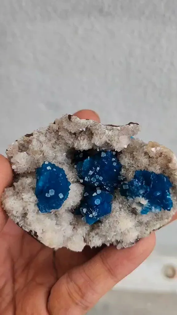 specimen video