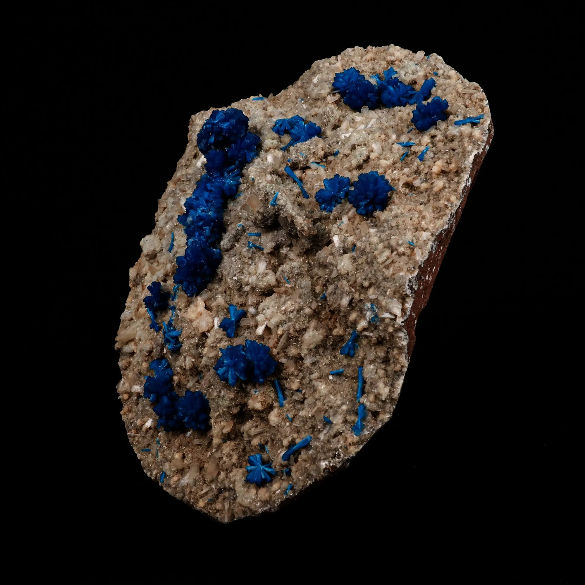 Cavansite on Heulandite Natural Mineral Specimen - image 3