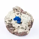 Cavansite on Heulandite (Rare Find) Natural Mineral Specimen - image 2