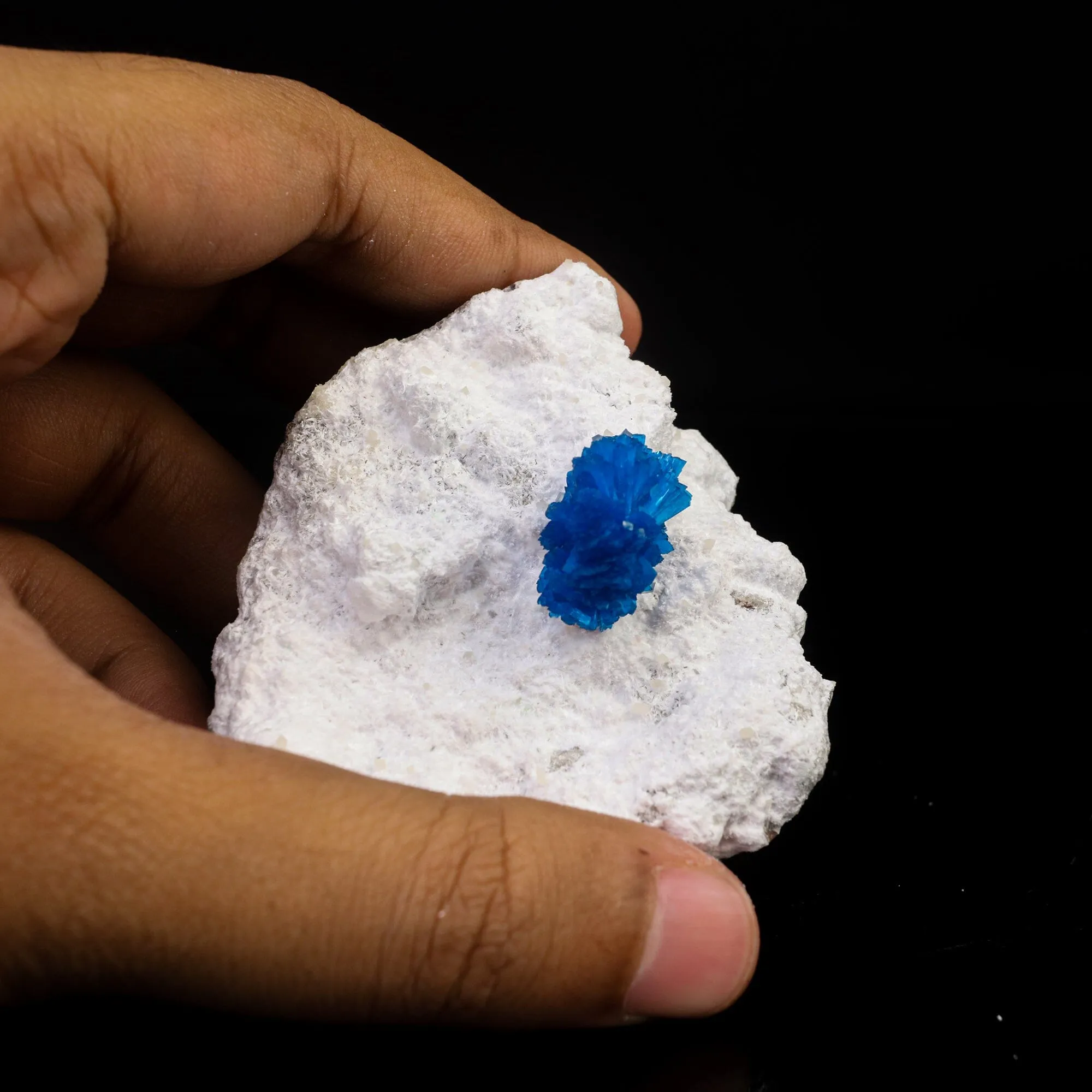 Cavansite on Modernite (Rare Find) Natural Mineral Specimen - image 6