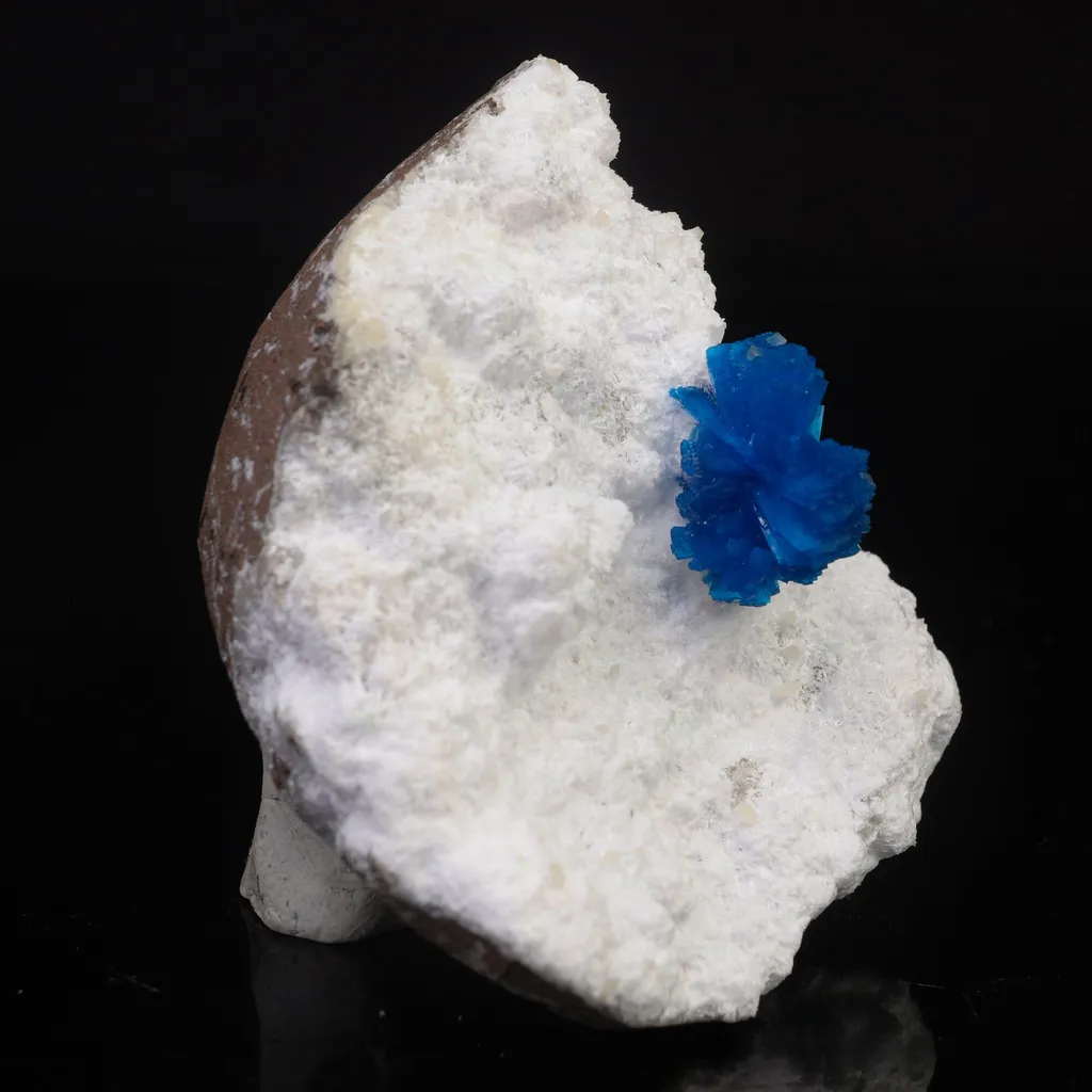 Cavansite on Modernite (Rare Find) Natural Mineral Specimen - image 4
