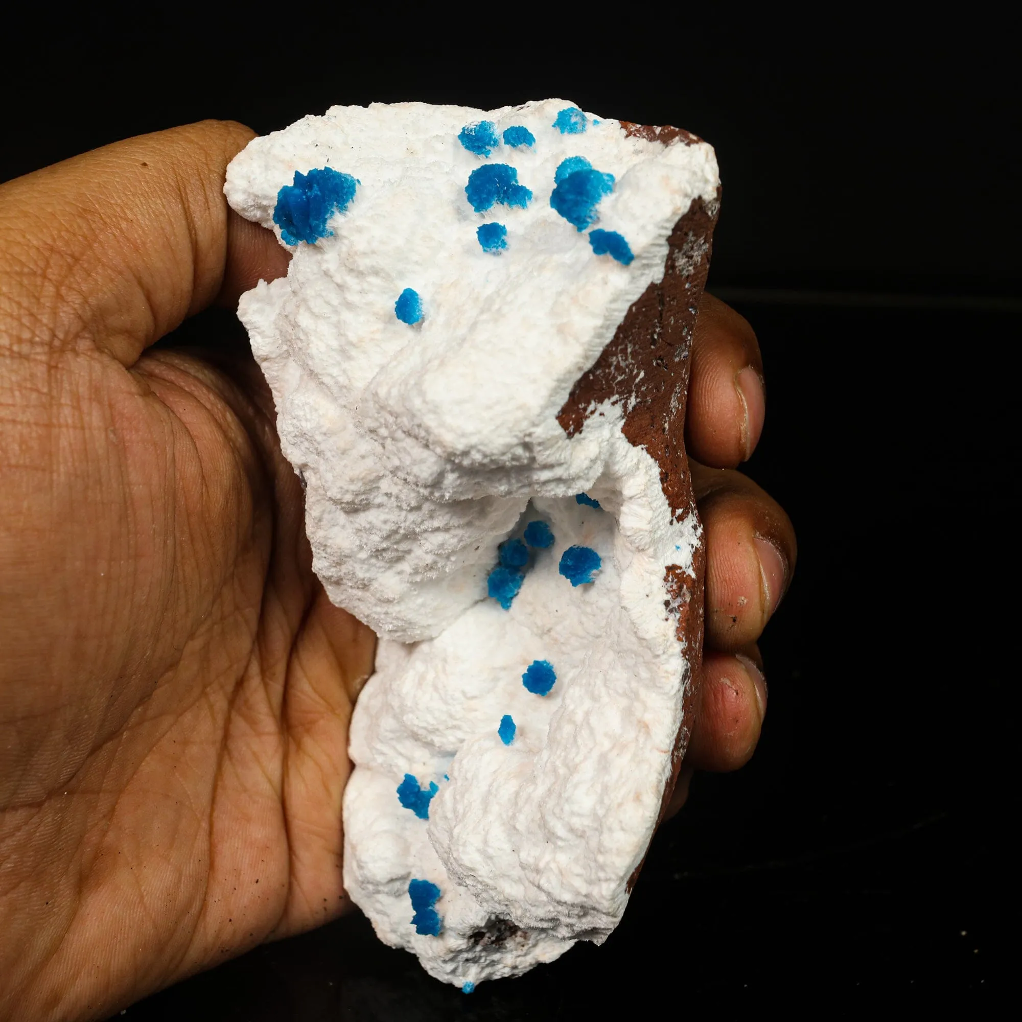 Cavansite on Modernite (Rare Find) Natural Mineral Specimen - image 4