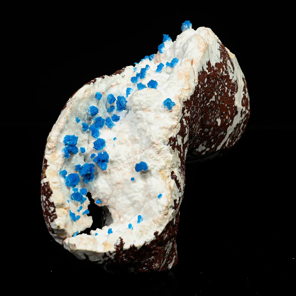 Cavansite on Modernite (Rare Find) Natural Mineral Specimen image