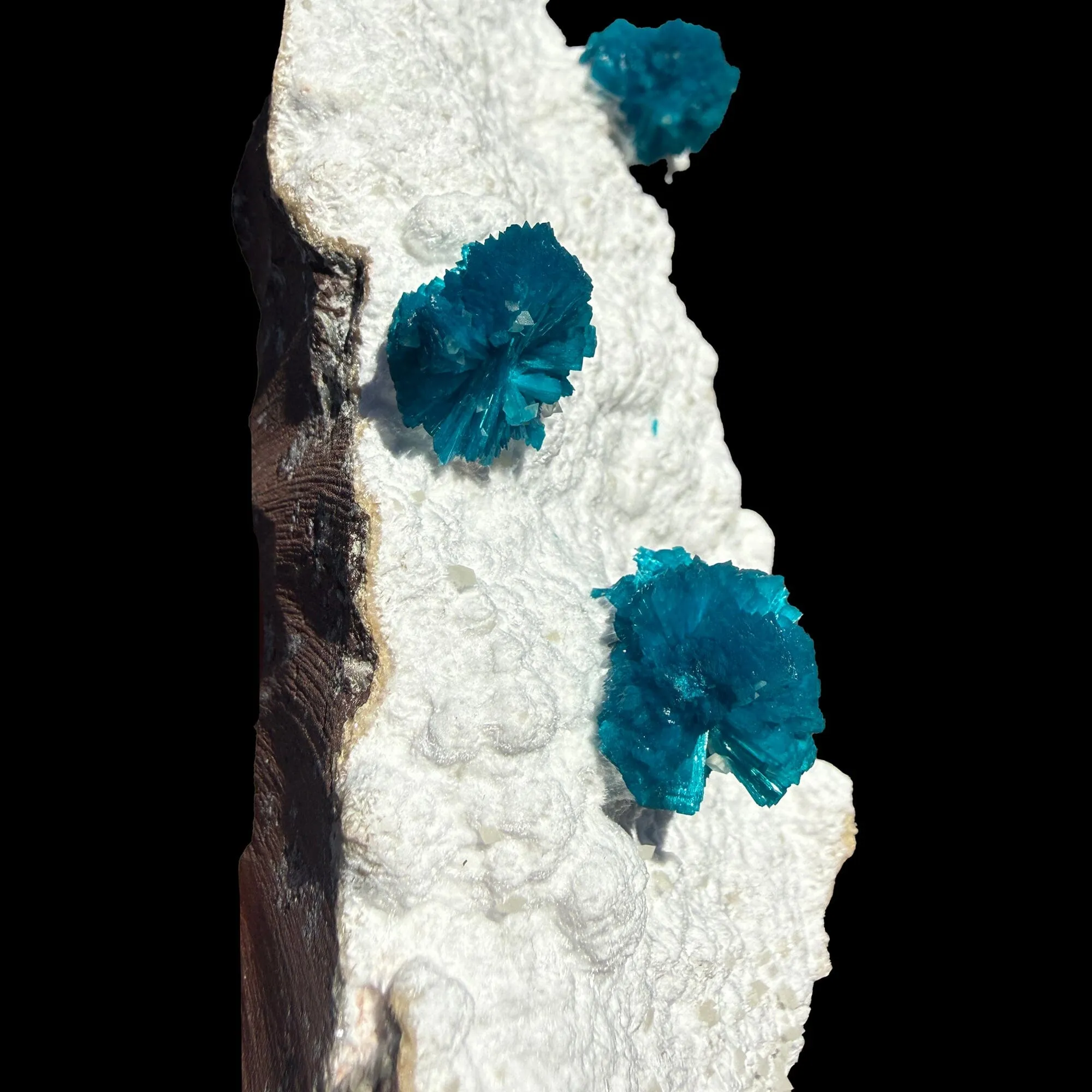 Cavansite on Modernite (Rare Find) Natural Mineral Specimen - image 3