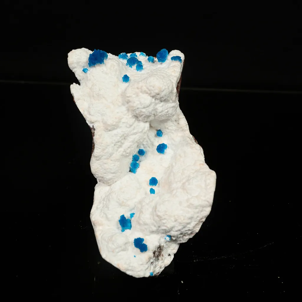 Cavansite on Modernite (Rare Find) Natural Mineral Specimen image