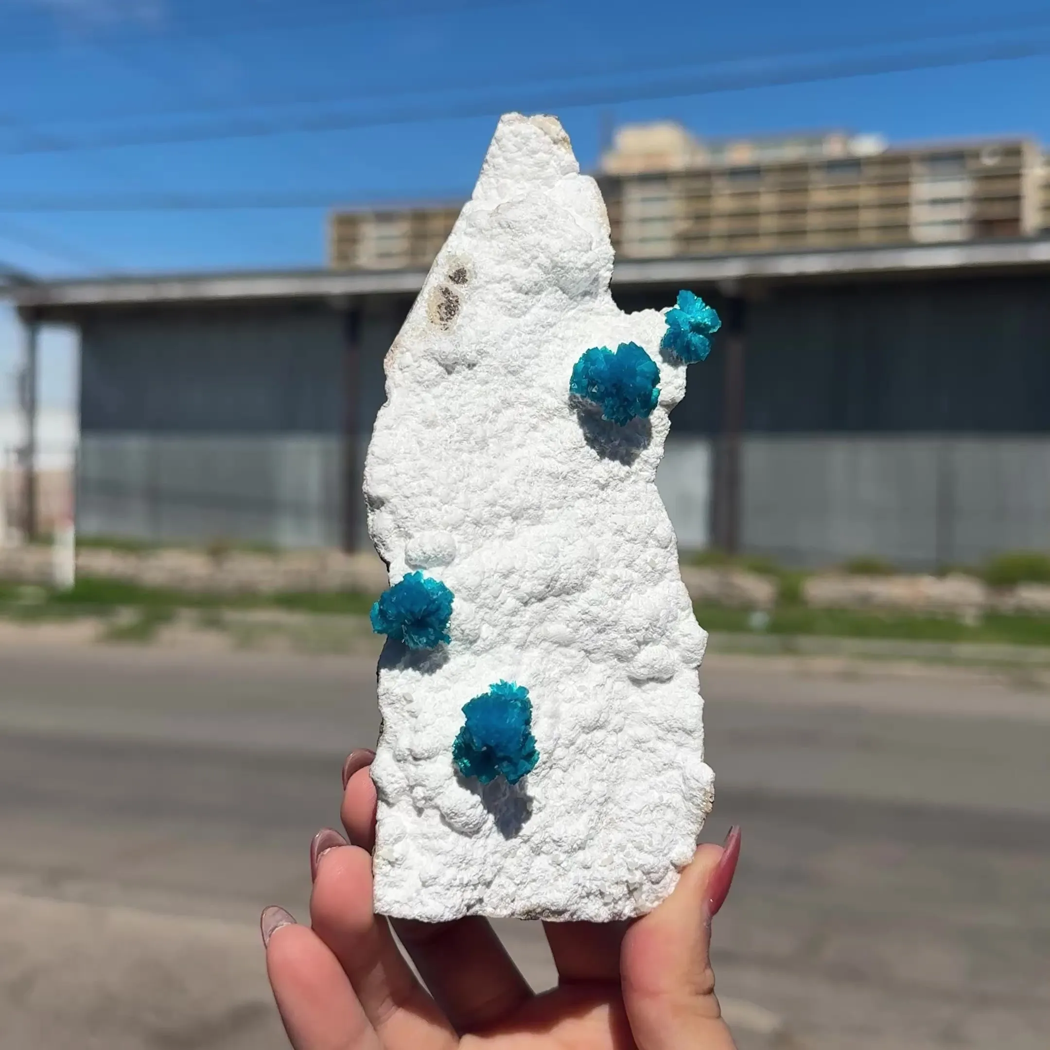 Cavansite on Modernite (Rare Find) Natural Mineral Specimen - image 7