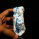 Cavansite on Modernite (Rare Find) Natural Mineral Specimen - image 4