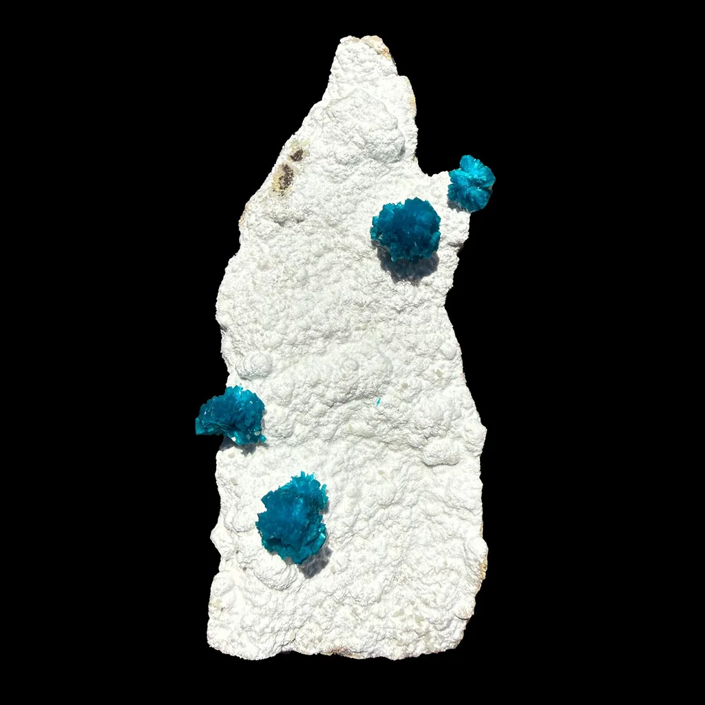 Cavansite on Modernite (Rare Find) Natural Mineral Specimen image
