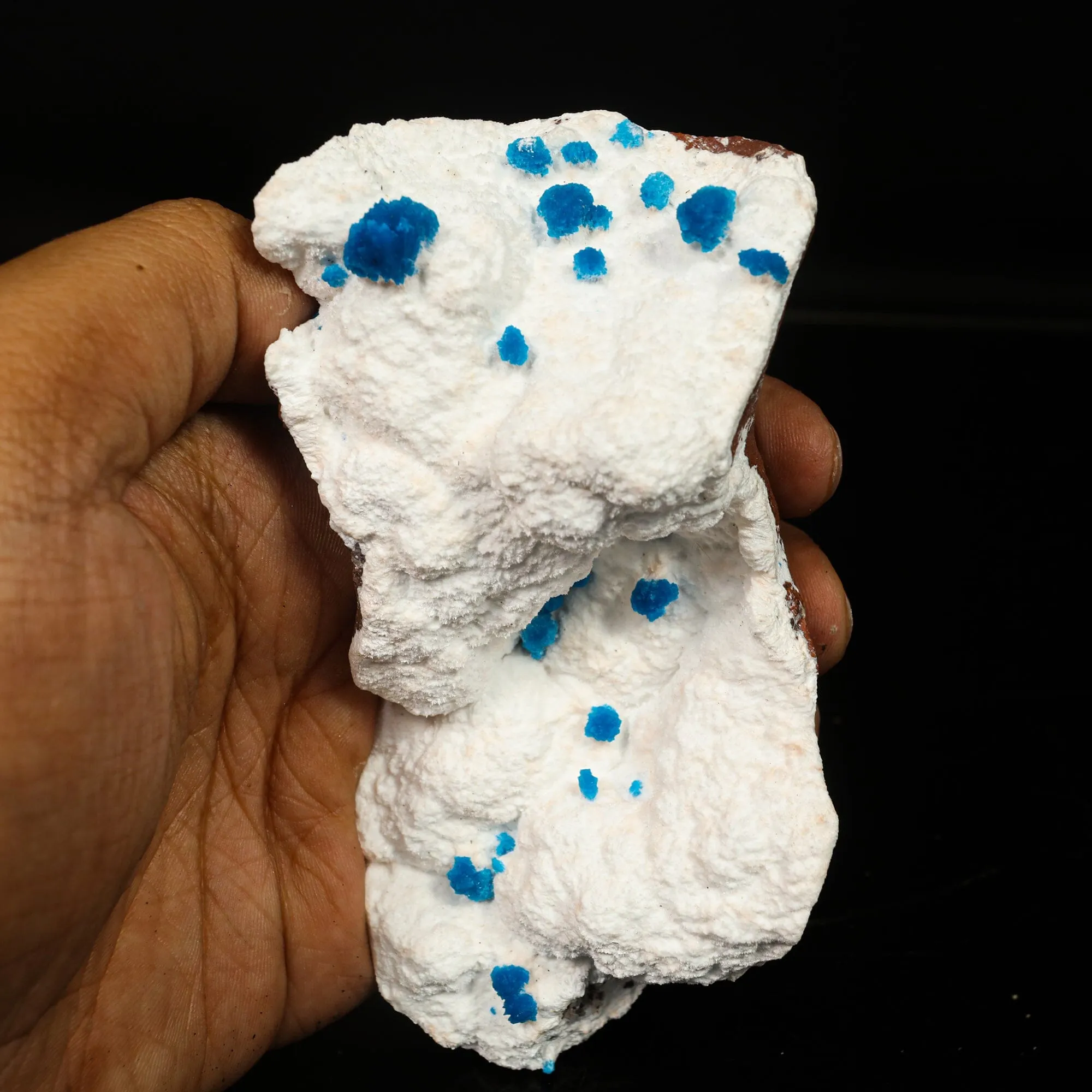 Cavansite on Modernite (Rare Find) Natural Mineral Specimen - image 2