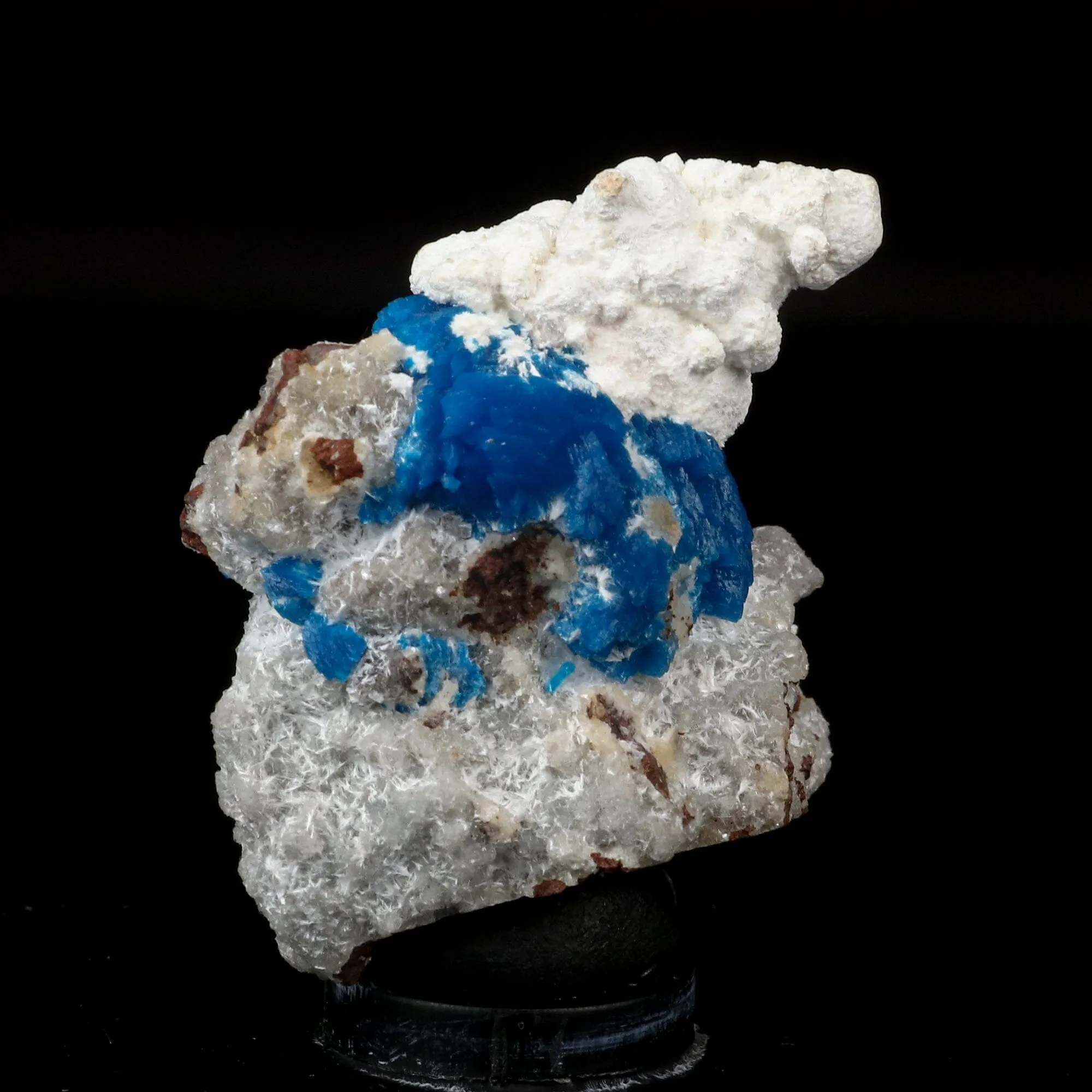 Cavansite on Modernite (Rare Find) Natural Mineral Specimen - image 2