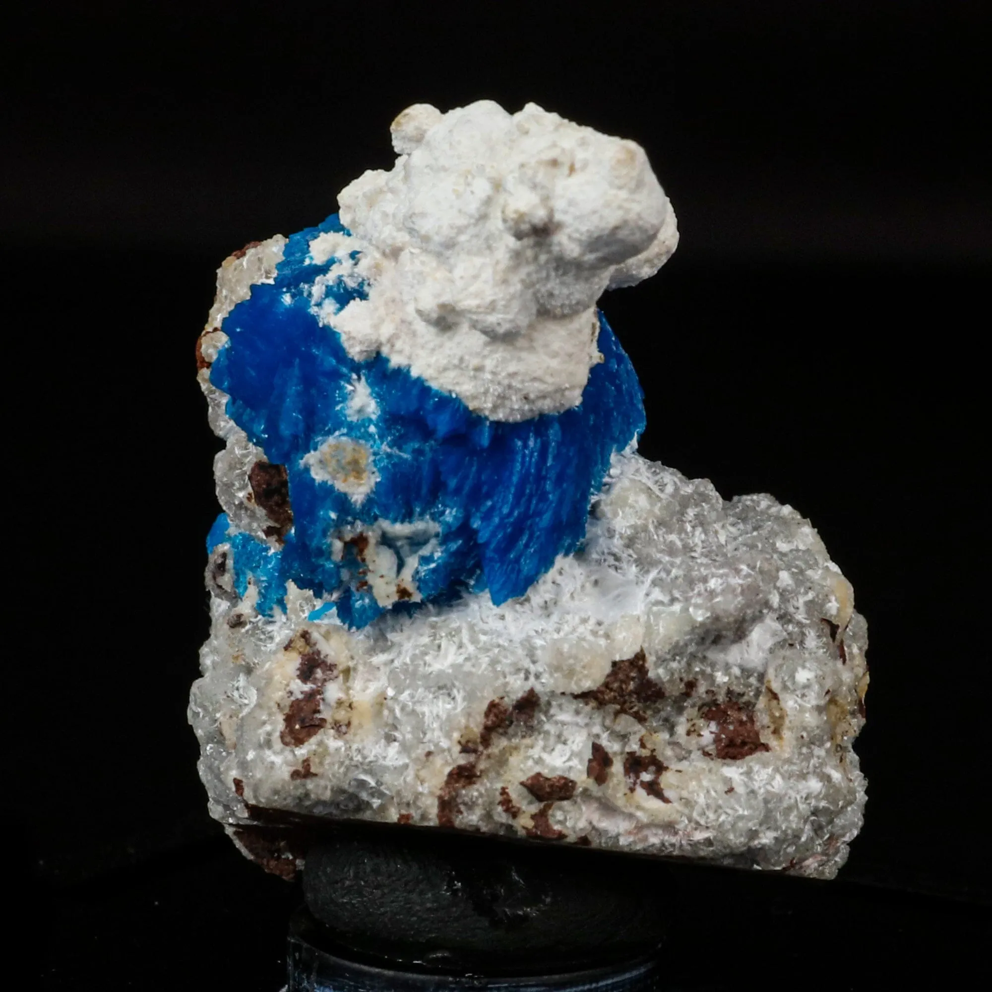 Cavansite on Modernite (Rare Find) Natural Mineral Specimen - image 3