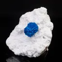 Cavansite on Modernite (Rare Find) Natural Mineral Specimen - image 5