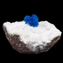 Cavansite on Modernite (Rare Find) Natural Mineral Specimen - image 2