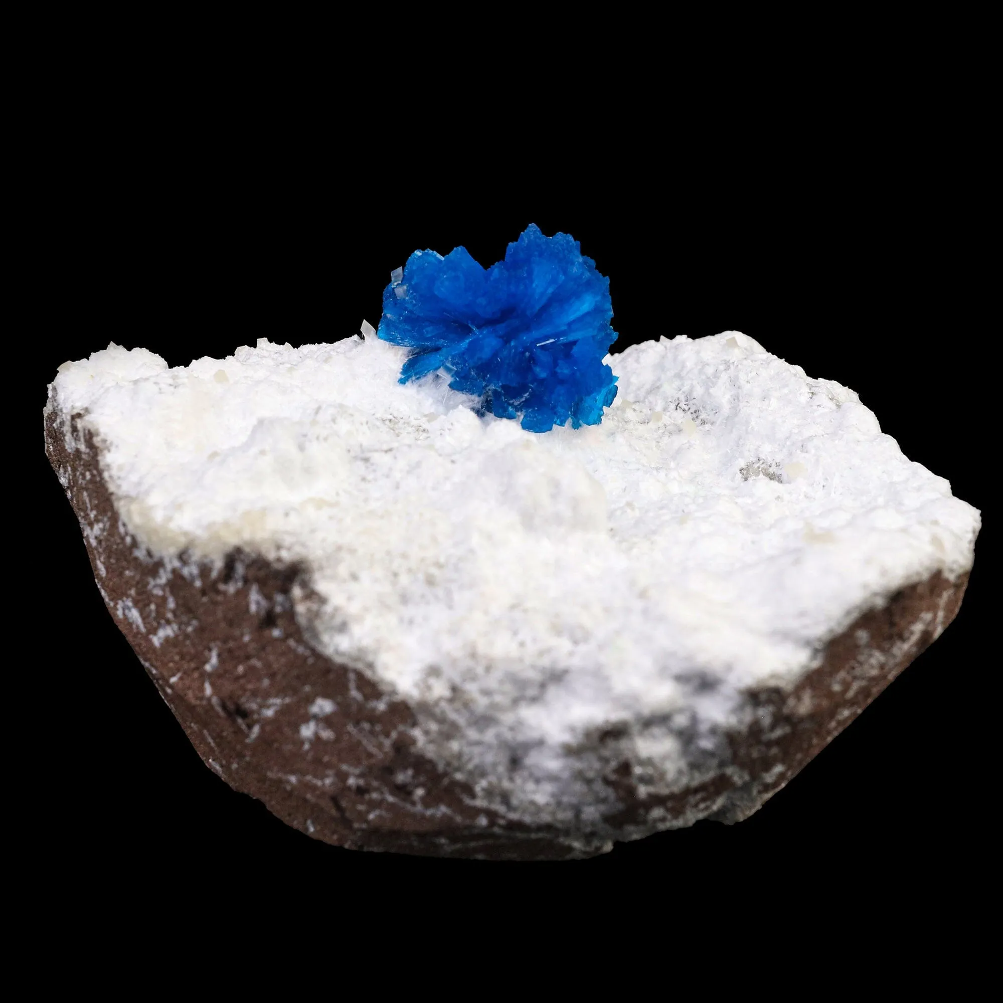Cavansite on Modernite (Rare Find) Natural Mineral Specimen - image 2