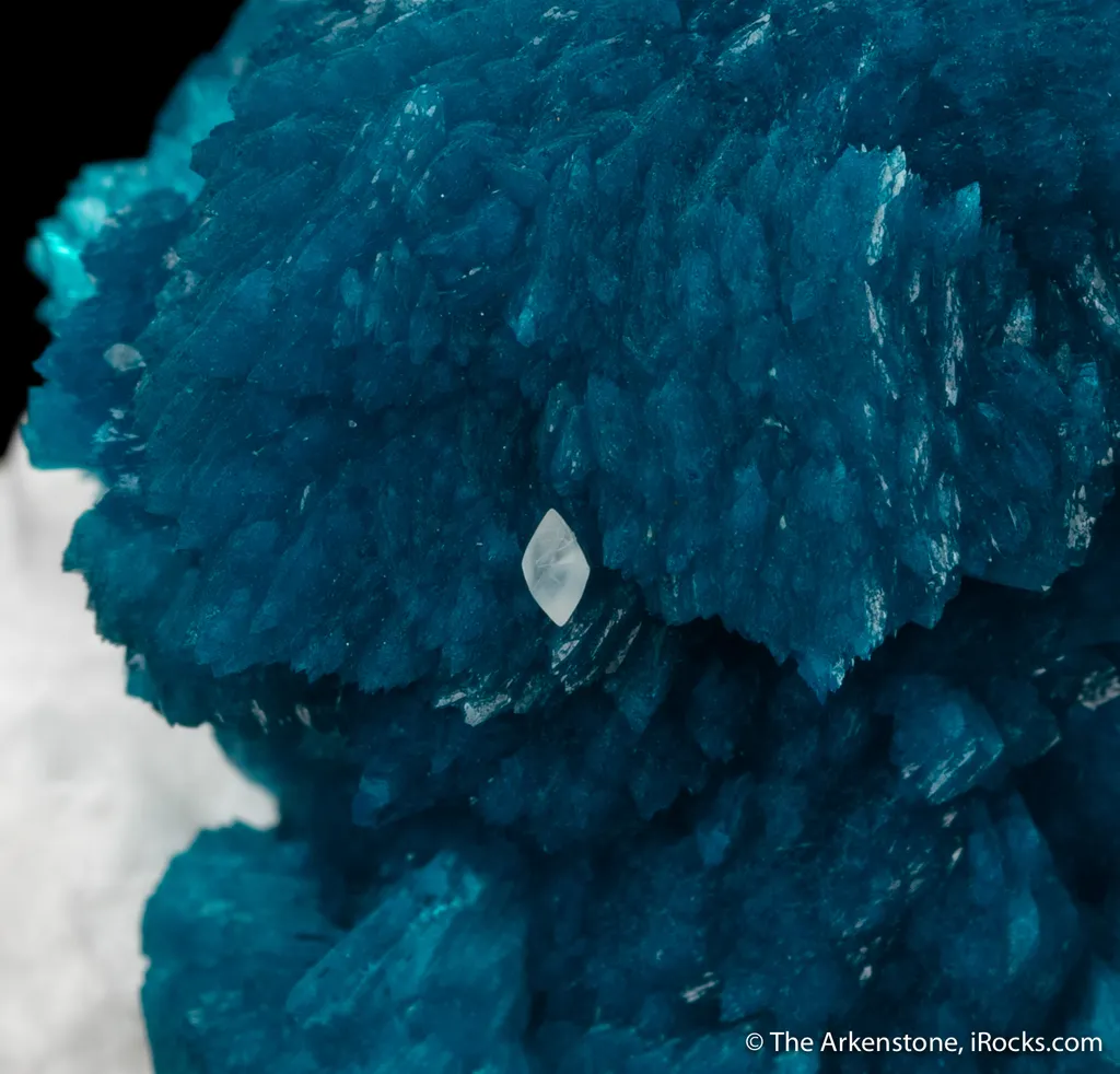 Cavansite on Mordenite - image 6