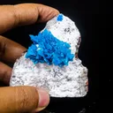 Cavansite on Mordenite (Rare Find) Natural Mineral Specimen - image 4