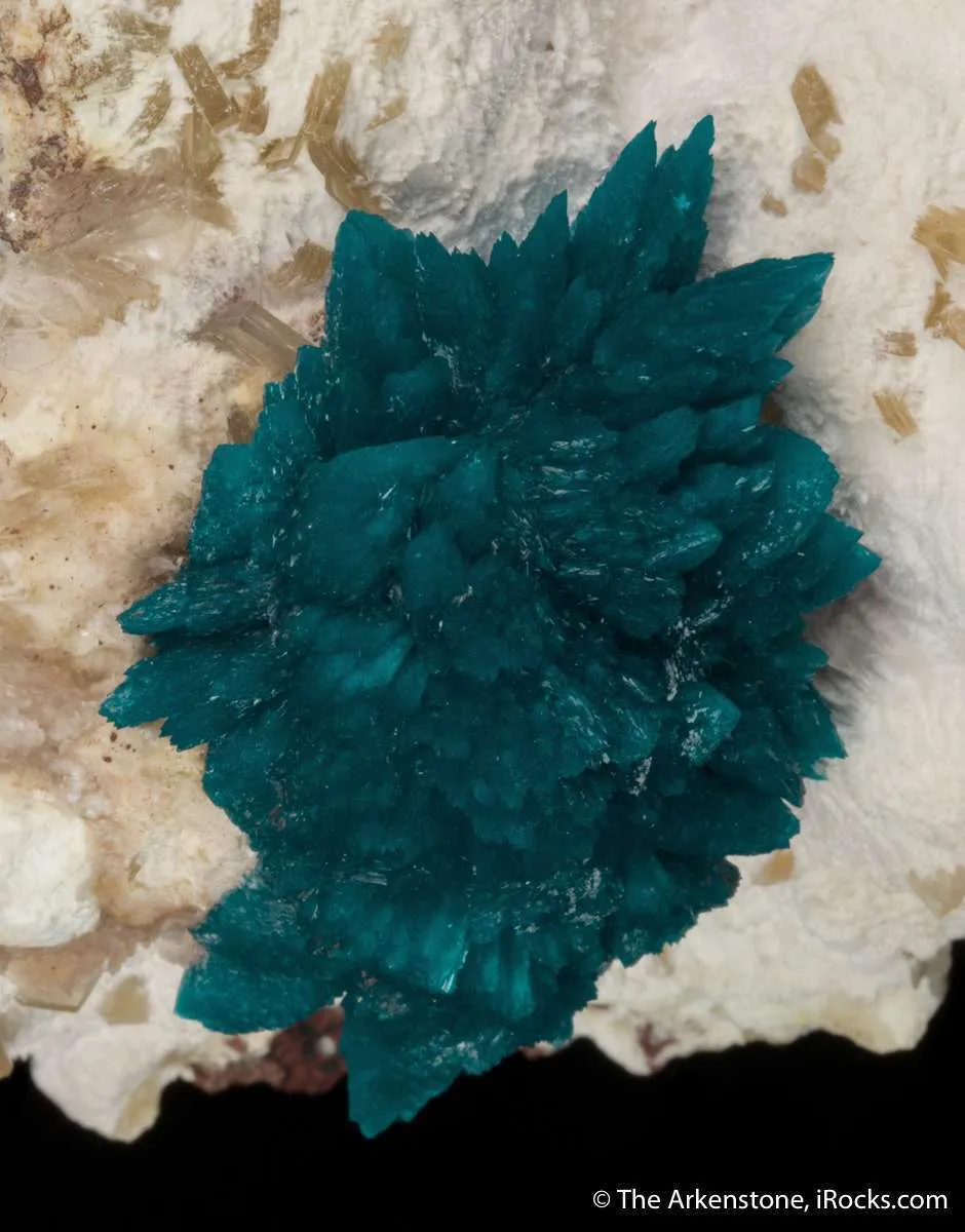 Cavansite on Mordenite with Stilbite - image 2