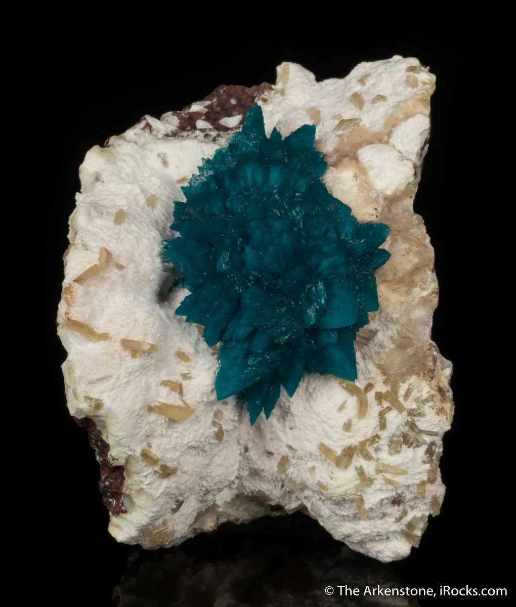 Cavansite on Mordenite with Stilbite - image 6