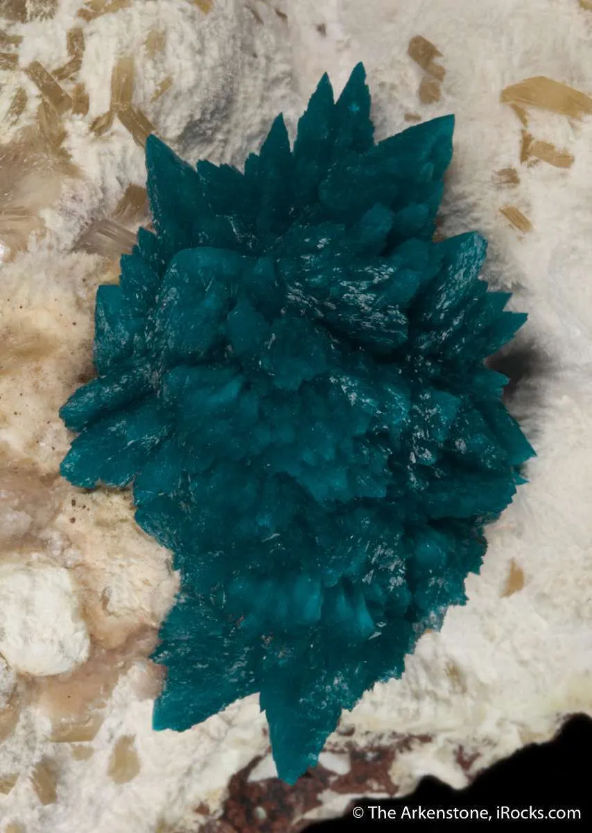 Cavansite on Mordenite with Stilbite - image 3