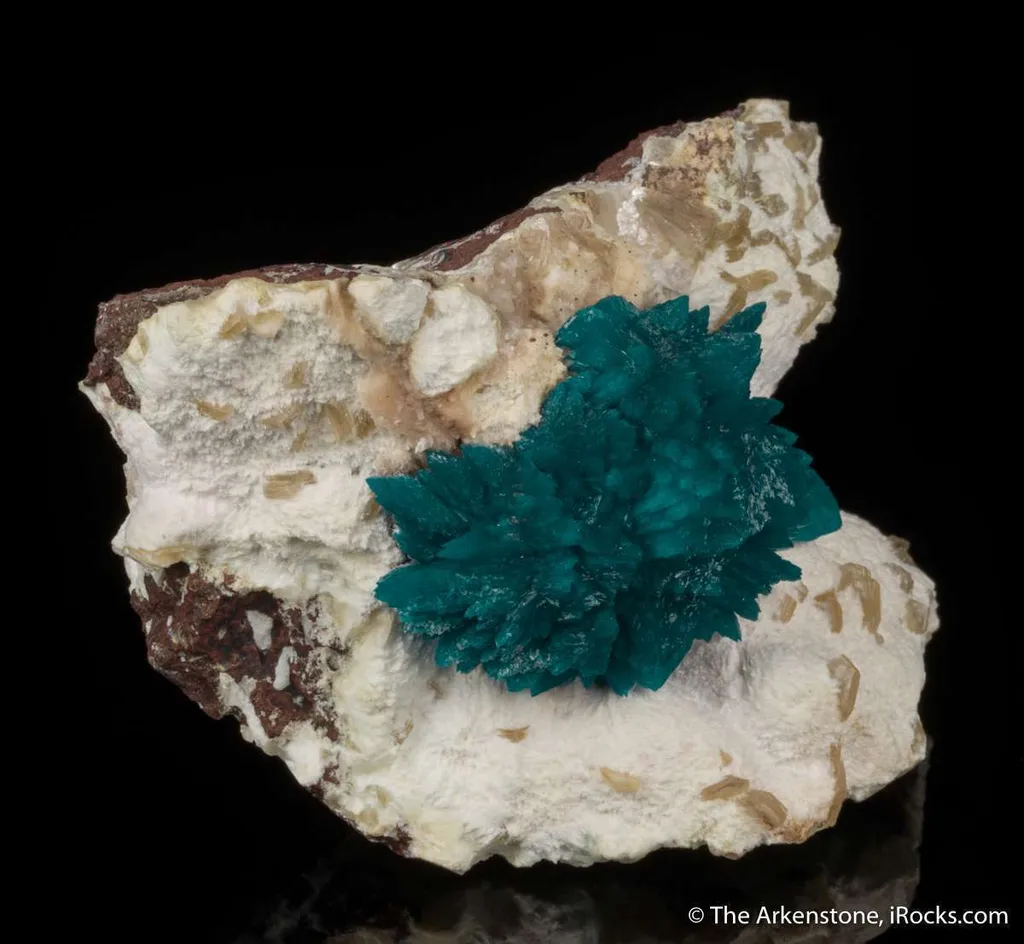 Cavansite on Mordenite with Stilbite - image 7