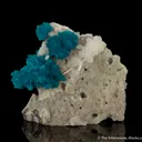 Cavansite on Stilbite - image 1