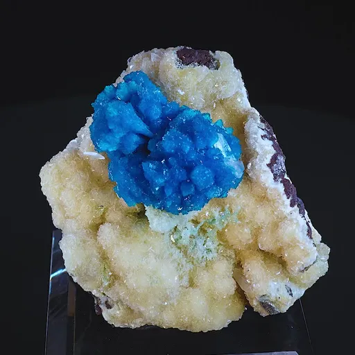 specimen video
