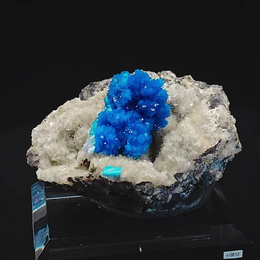 specimen video