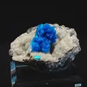 specimen video