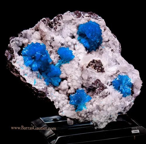 Cavansite on Stilbite image