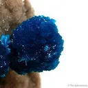 Cavansite on Stilbite - image 2
