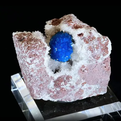 specimen video