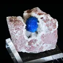 specimen video