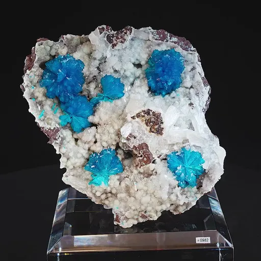 specimen video