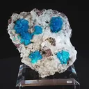 specimen video
