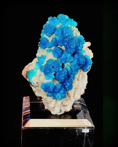 specimen video