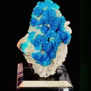 specimen video