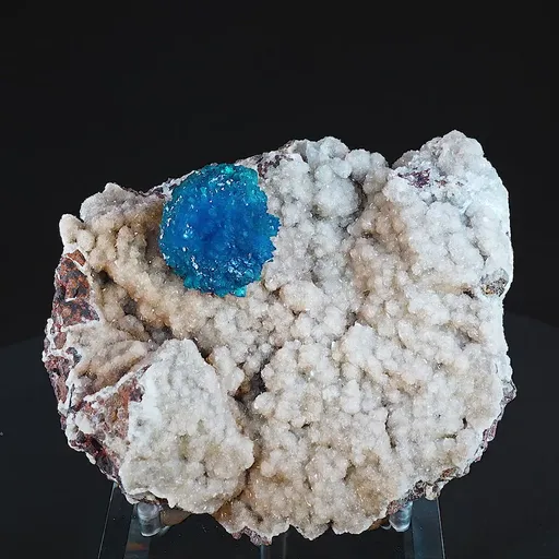 specimen video
