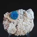 specimen video