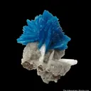 Cavansite on Stilbite - image 2