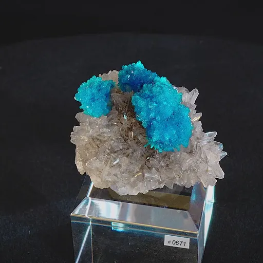 specimen video