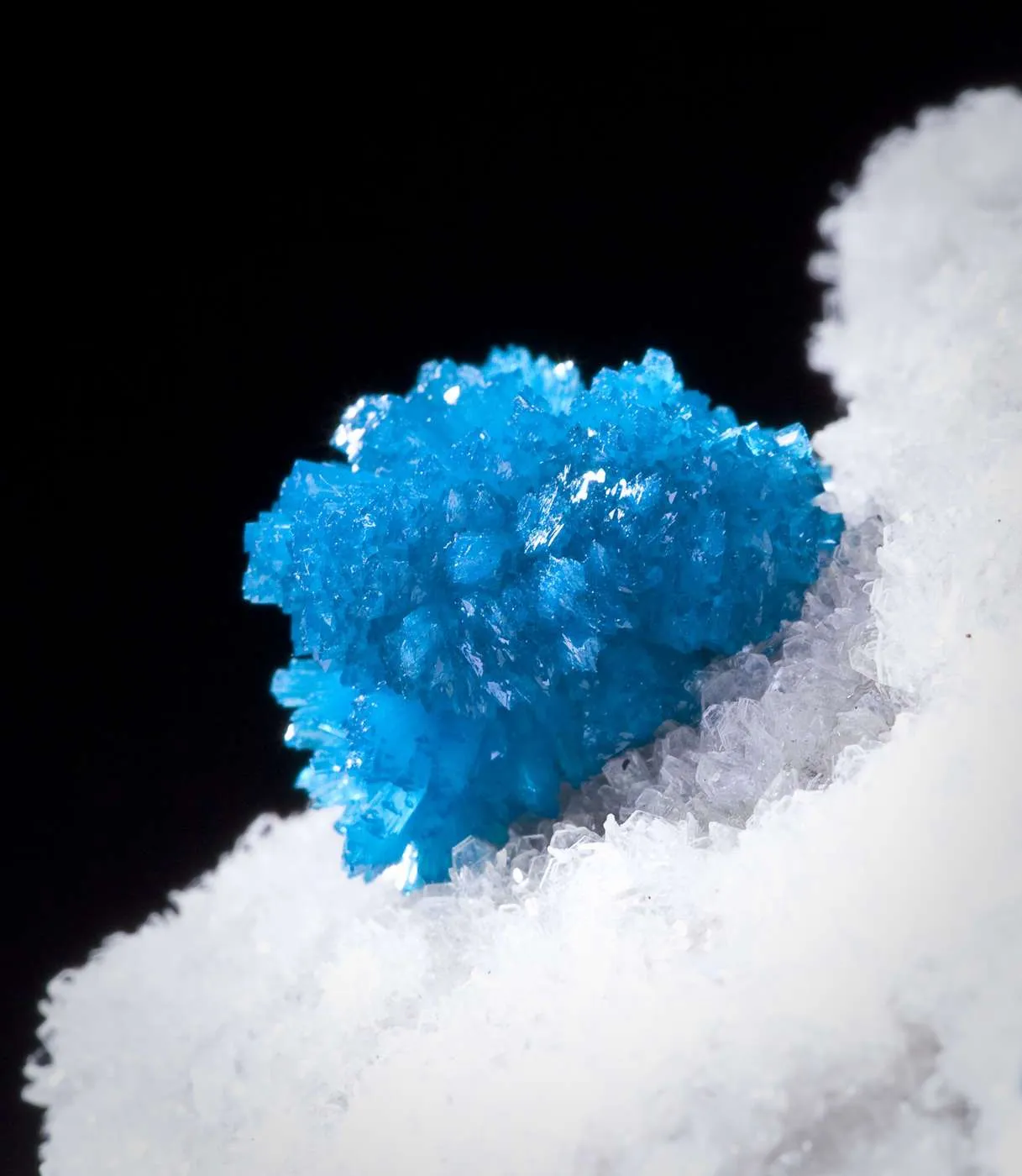 Cavansite on Stilbite - image 4
