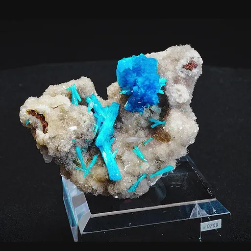 specimen video