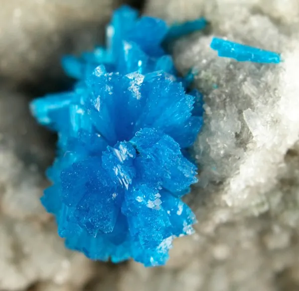 Cavansite, Quartz - image 3
