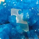 Cavansite Ribbon - image 5