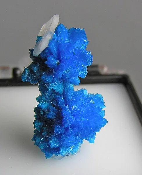 Cavansite, Stilbite-Ca - image 1