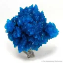 Cavansite "The Burning Bush" - image 1