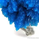 Cavansite "The Burning Bush" - image 3